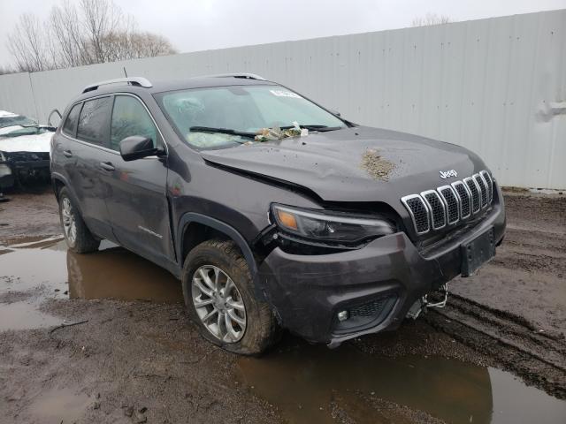 JEEP NULL 2019 1c4pjmlb1kd259253