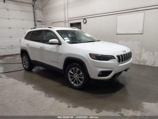 JEEP CHEROKEE 2019 1c4pjmlb1kd273539