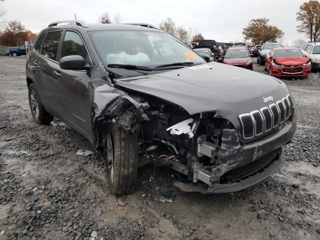 JEEP CHEROKEE L 2020 1c4pjmlb1ld505445