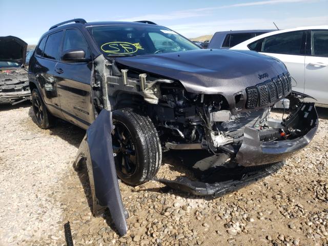 JEEP CHEROKEE L 2020 1c4pjmlb1ld540423