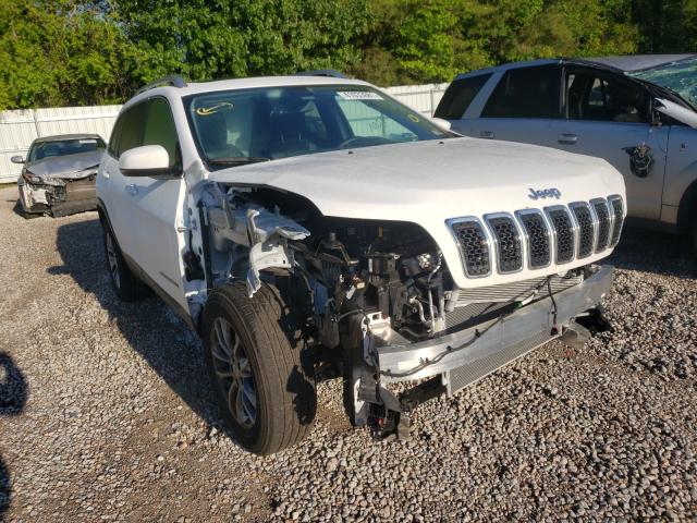 JEEP NULL 2020 1c4pjmlb1ld584664