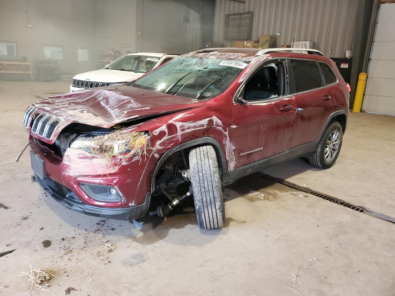 JEEP GRAND CHEROKEE 2019 1c4pjmlb2kd128025