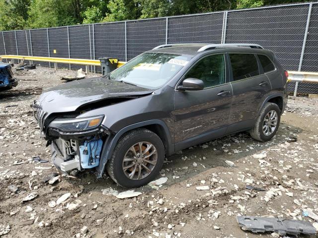 JEEP GRAND CHEROKEE 2019 1c4pjmlb2kd188435