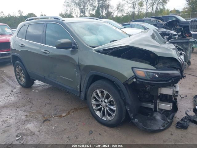 JEEP CHEROKEE 2019 1c4pjmlb2kd252215