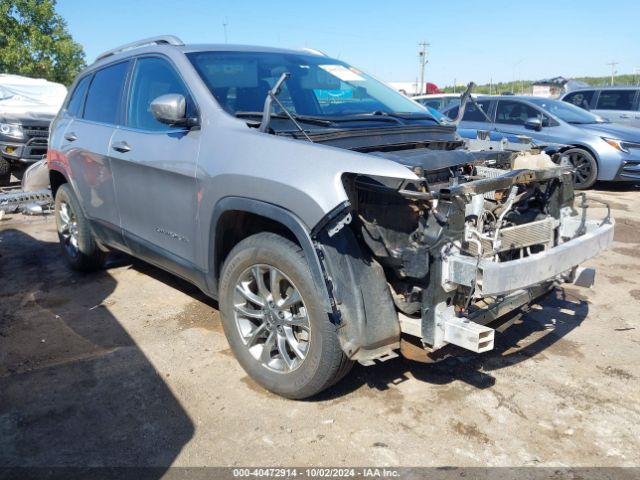 JEEP CHEROKEE 2020 1c4pjmlb2ld513022