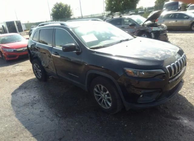 JEEP CHEROKEE 2019 1c4pjmlb3kd181431