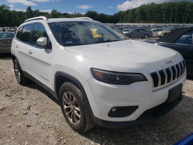 JEEP CHEROKEE L 2019 1c4pjmlb3kd191313