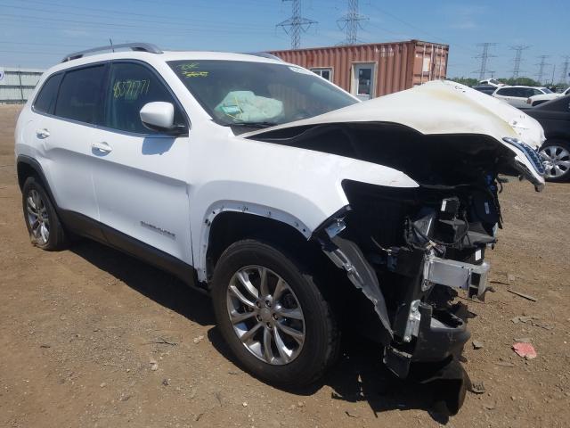 JEEP CHEROKEE L 2019 1c4pjmlb3kd193885