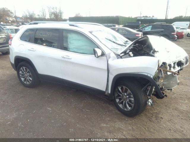 JEEP CHEROKEE 2019 1c4pjmlb3kd214007