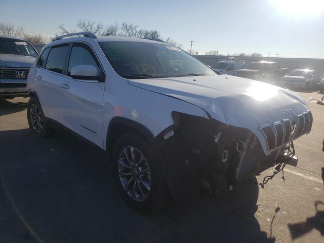 JEEP CHEROKEE L 2019 1c4pjmlb3kd273560