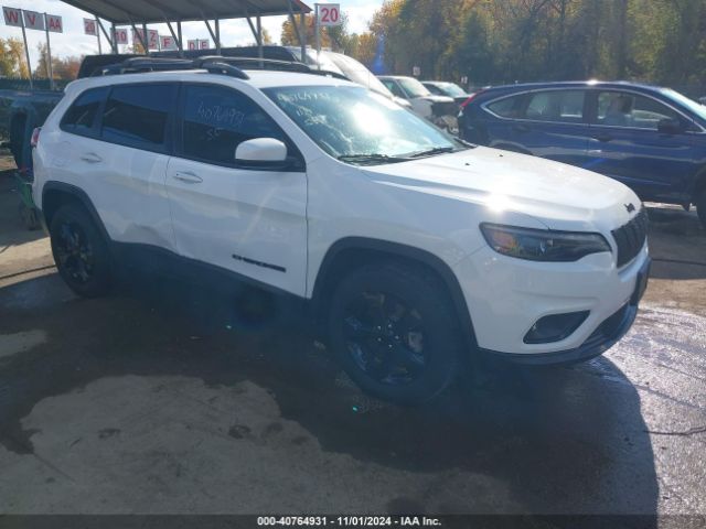 JEEP CHEROKEE 2019 1c4pjmlb3kd293467