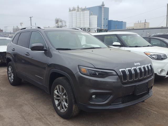 JEEP NULL 2019 1c4pjmlb3kd367454