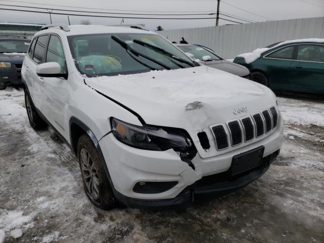 JEEP NULL 2019 1c4pjmlb3kd389261