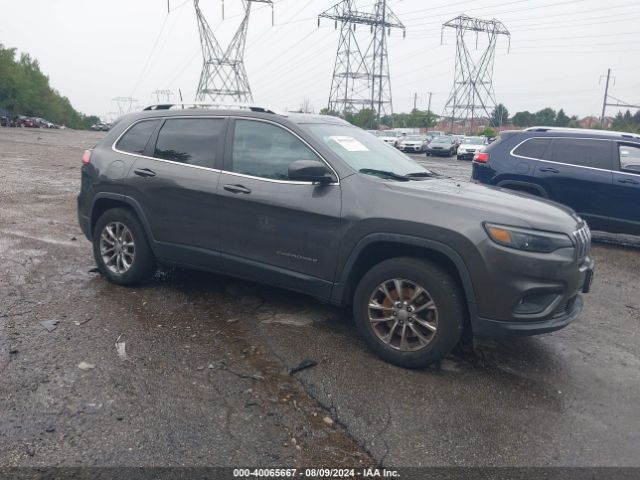 JEEP CHEROKEE 2019 1c4pjmlb3kd400226