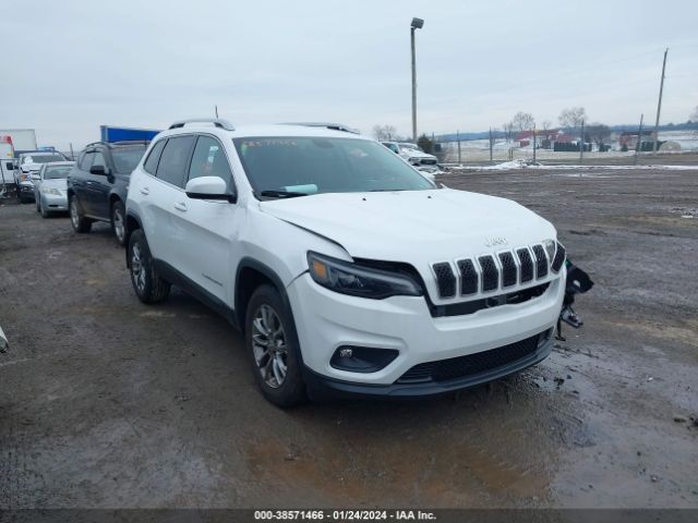 JEEP CHEROKEE 2020 1c4pjmlb3ld541282