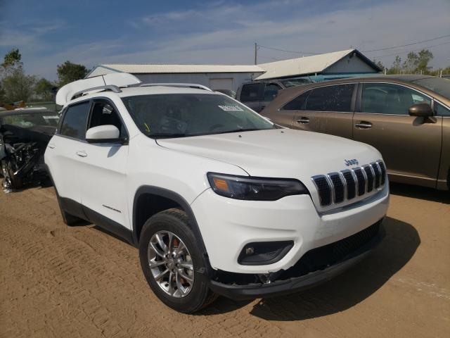 JEEP CHEROKEE L 2020 1c4pjmlb3ld652320