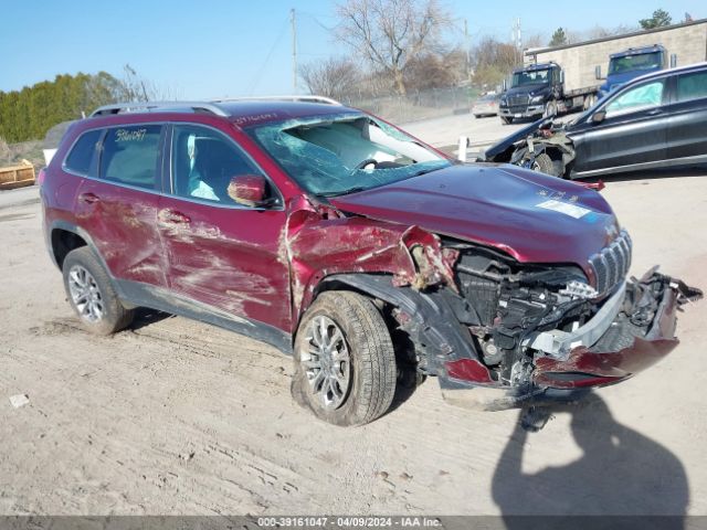 JEEP CHEROKEE 2019 1c4pjmlb4kd270750