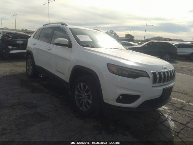 JEEP CHEROKEE 2019 1c4pjmlb4kd314245