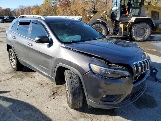 JEEP CHEROKEE L 2019 1c4pjmlb4kd342479