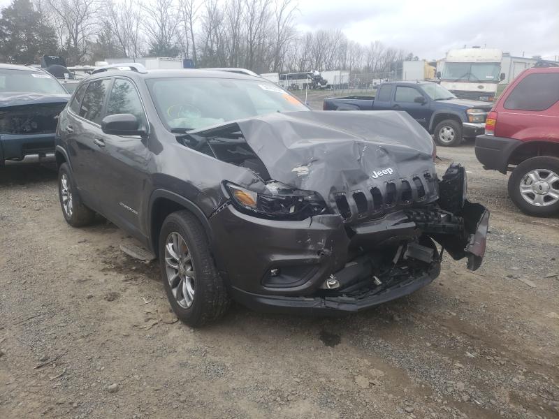 JEEP CHEROKEE 2019 1c4pjmlb4kd350551