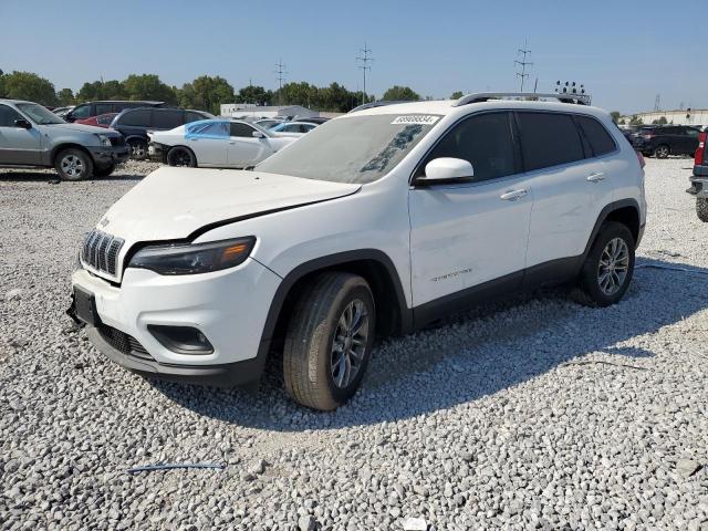 JEEP CHEROKEE L 2019 1c4pjmlb4kd355782