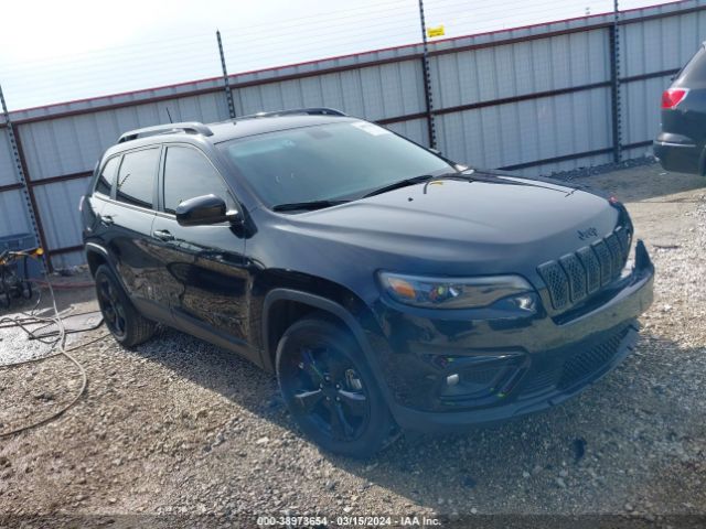 JEEP CHEROKEE 2020 1c4pjmlb4ld650107