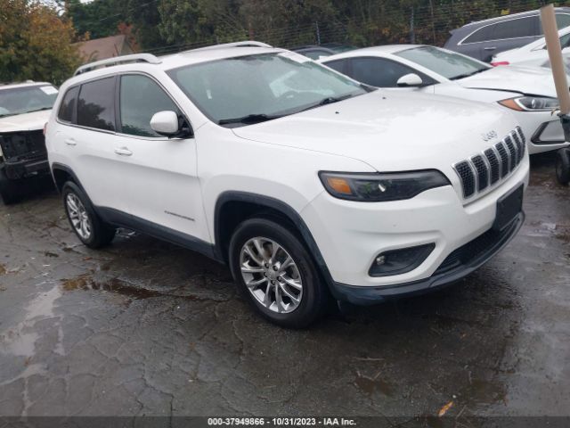 JEEP CHEROKEE 2019 1c4pjmlb5kd177719