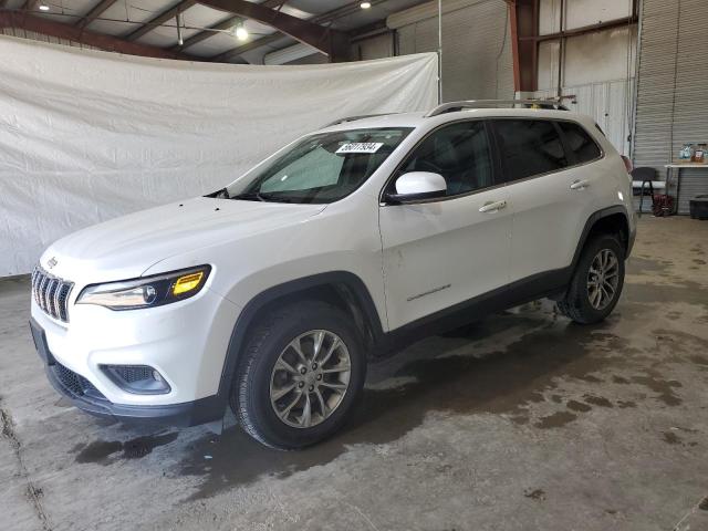 JEEP GRAND CHEROKEE 2019 1c4pjmlb5kd231942