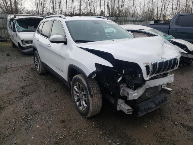 JEEP CHEROKEE L 2019 1c4pjmlb5kd256016