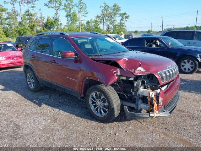 JEEP CHEROKEE 2019 1c4pjmlb5kd472707