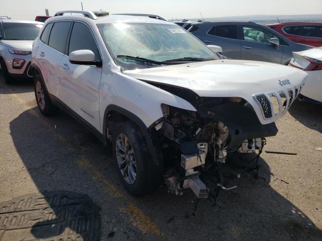 JEEP CHEROKEE L 2020 1c4pjmlb5ld540523