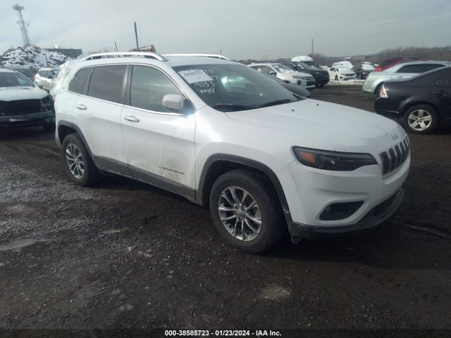 JEEP CHEROKEE 2019 1c4pjmlb5ld569133