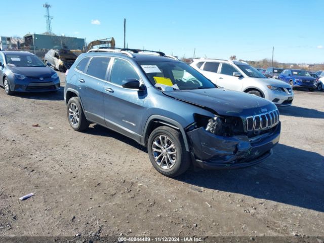 JEEP CHEROKEE 2020 1c4pjmlb5ld576695