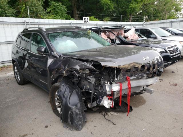 JEEP CHEROKEE L 2020 1c4pjmlb5ld647653