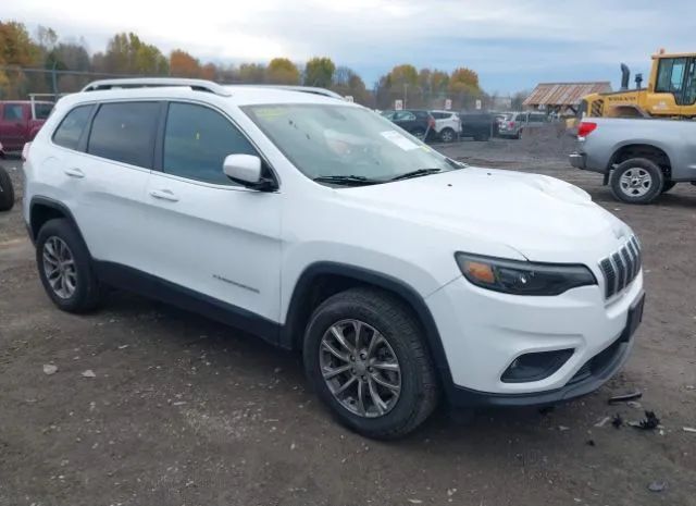 JEEP CHEROKEE 2019 1c4pjmlb6kd198854