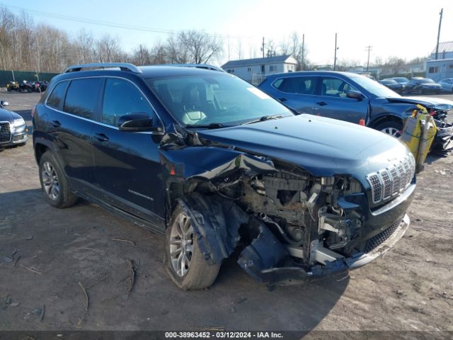 JEEP CHEROKEE 2019 1c4pjmlb6kd390131