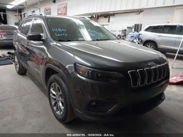 JEEP CHEROKEE 2020 1c4pjmlb6ld551580