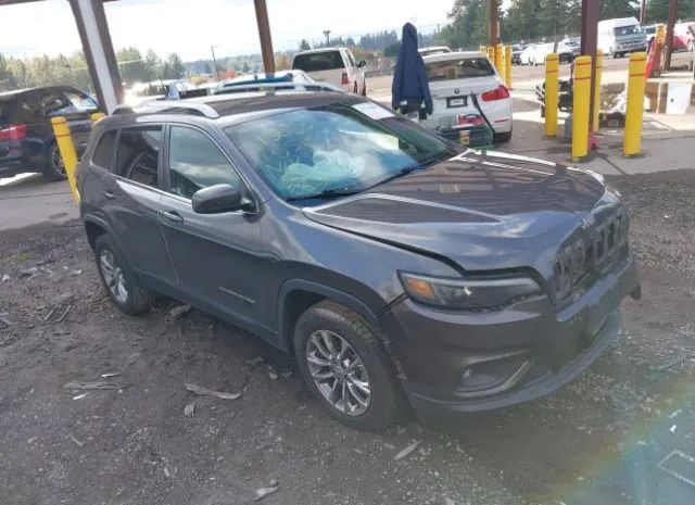 JEEP CHEROKEE 2019 1c4pjmlb7kd211157