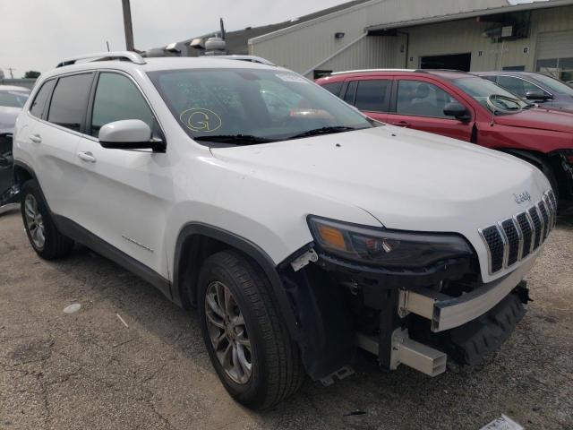 JEEP CHEROKEE L 2019 1c4pjmlb7kd398092