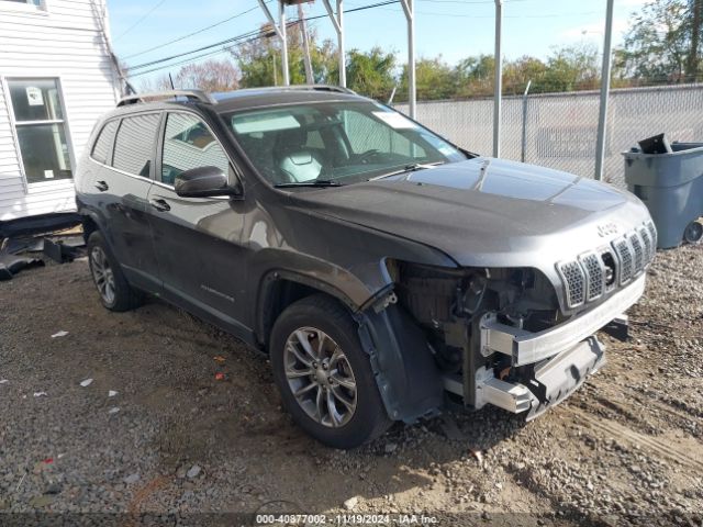 JEEP CHEROKEE 2019 1c4pjmlb7kd432497