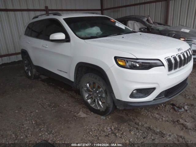 JEEP CHEROKEE 2020 1c4pjmlb7ld569523