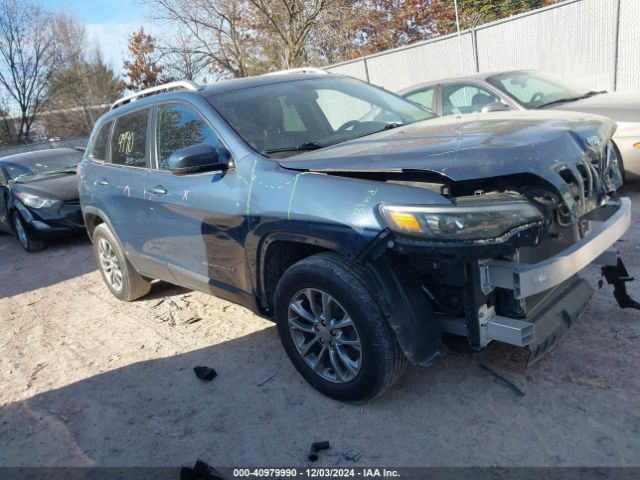 JEEP CHEROKEE 2020 1c4pjmlb7ld576553