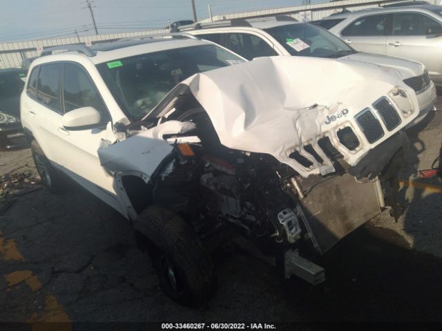 JEEP CHEROKEE 2019 1c4pjmlb8kd174782