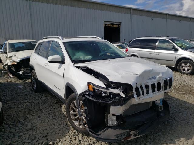 JEEP CHEROKEE 2018 1c4pjmlb8kd177469