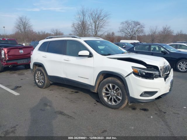 JEEP CHEROKEE 2019 1c4pjmlb8kd181053