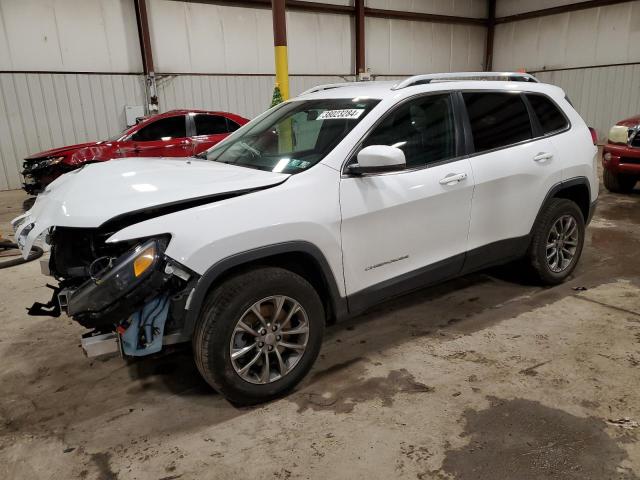 JEEP GRAND CHEROKEE 2019 1c4pjmlb8kd425722