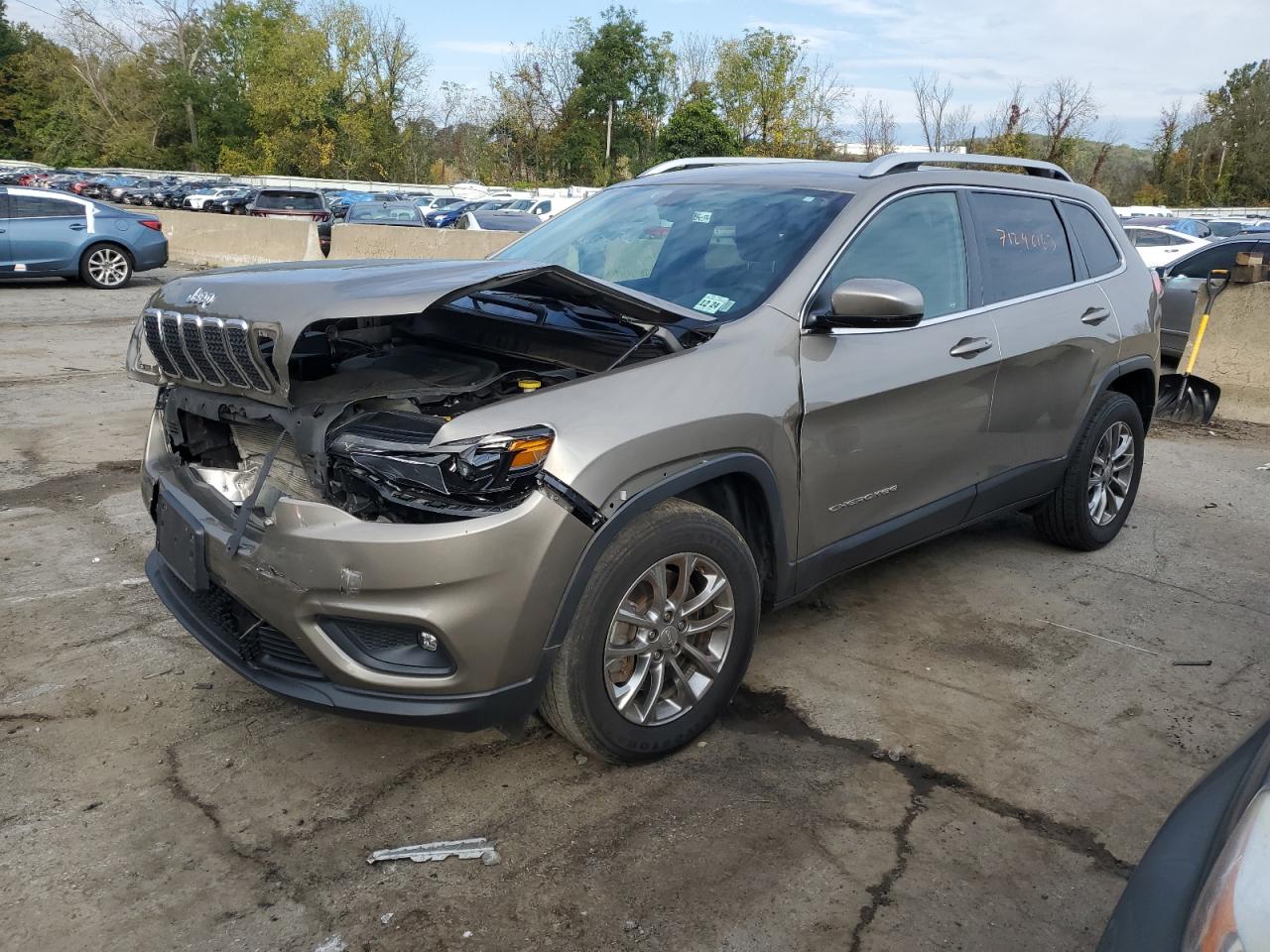 JEEP NULL 2019 1c4pjmlb8kd432671