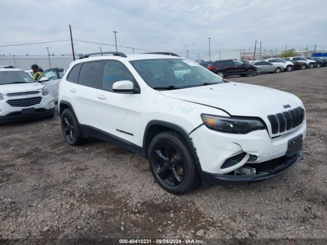 JEEP CHEROKEE 2019 1c4pjmlb8kd477559