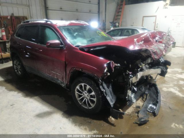 JEEP CHEROKEE 2019 1c4pjmlb9kd195009