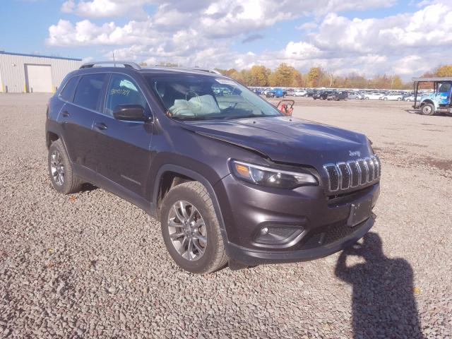 JEEP NULL 2019 1c4pjmlb9kd342025